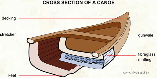 Cross section of a canoe